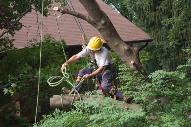 Landscape Design and Installation in Duncan Falls, OH