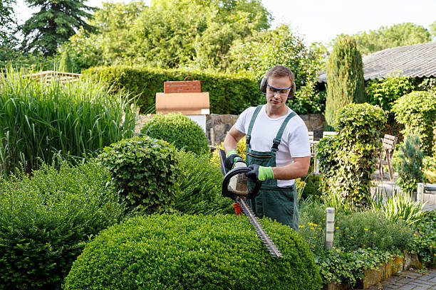 Best Storm Damage Tree Cleanup  in Duncan Falls, OH